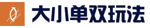 玩法规则 - 大小单双彩票详细规则说明 - 大小单双双彩票