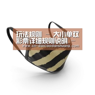 成人布口罩