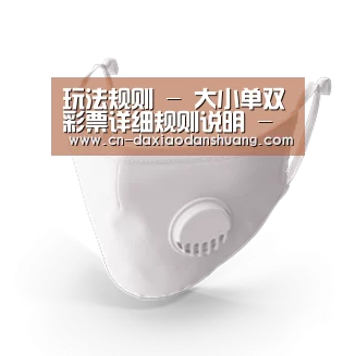 N95 口罩